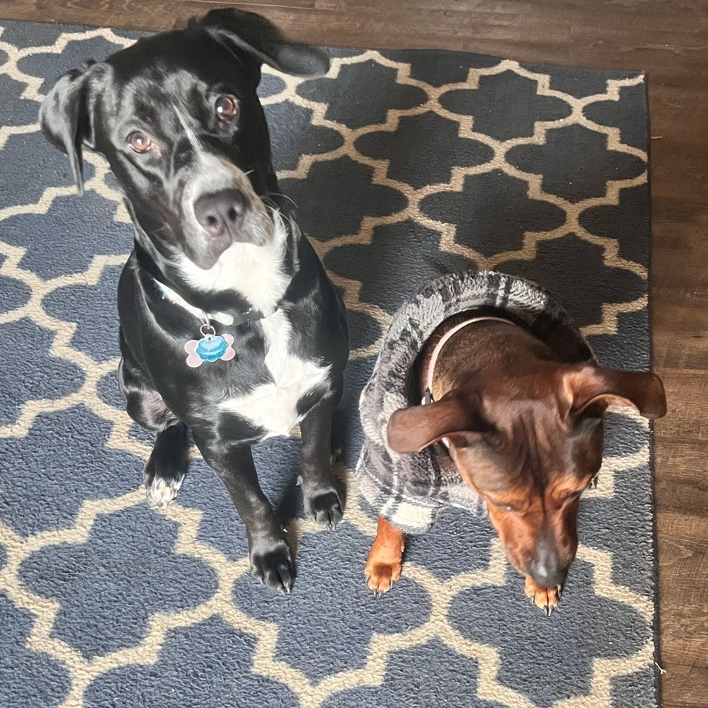 Meet your Posher, April